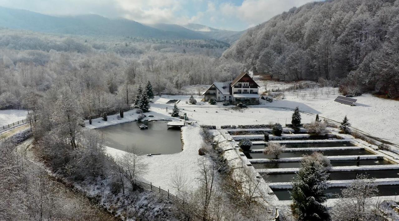 Valea Salbatica Hotel Sinca Noua Exterior foto
