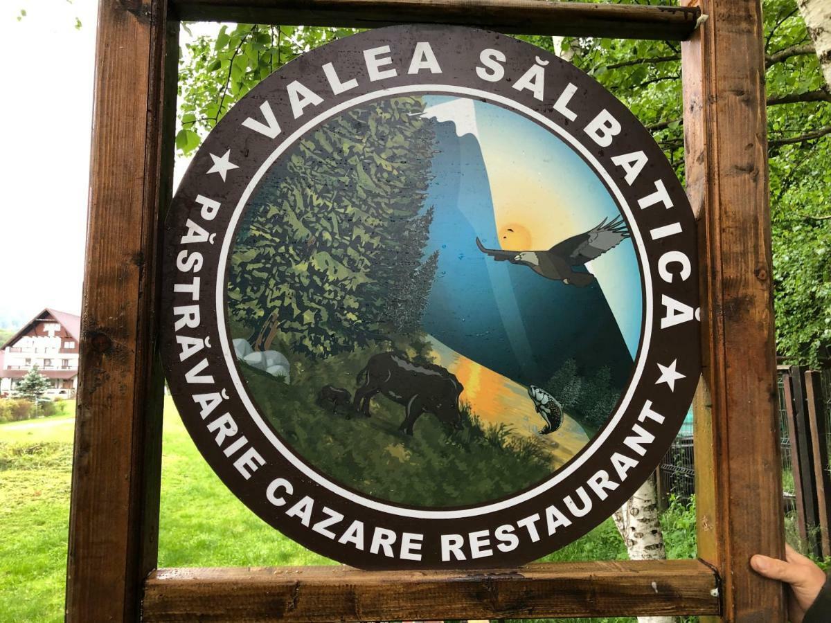 Valea Salbatica Hotel Sinca Noua Exterior foto